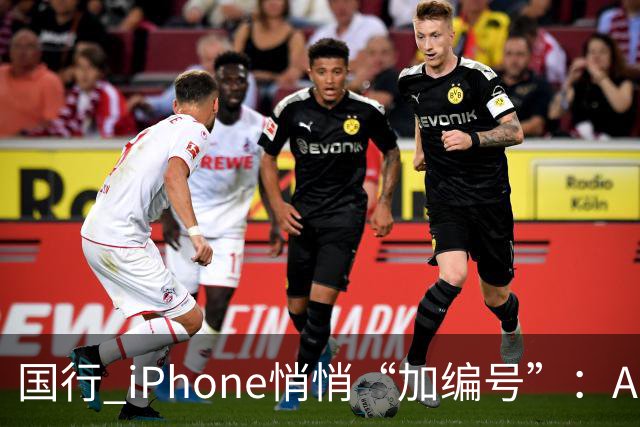 国行 iPhone悄悄“加编号”：Apple 智能 + 通义千问现身入网信息，苹果中文 AI 终于要落地？